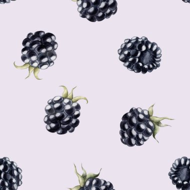 Blackberry, olgun böğürtlen. Suluboya illüstrasyon, leylak arkaplanındaki çiçeksiz desen masa tekstili için yaz meyvesi, leziz baskılar, yaz kumaşları, ambalaj kağıdı ve yiyecek paketleri.