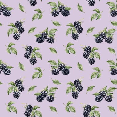 Blackberry, olgun böğürtlen. Suluboya illüstrasyon, leylak arkaplanındaki çiçeksiz desen masa tekstili için yaz meyvesi, leziz baskılar, yaz kumaşları, ambalaj kağıdı ve yiyecek paketleri.