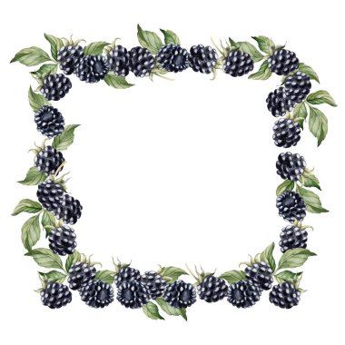 Böğürtlen ve yapraklı böğürtlen çerçevesi. Masa tekstili, porselen masa takımı ve lezzetli baskılar için suluboya izole edilmiş resim, yaz kumaşları, ambalaj kağıdı, gıda paketleri, etiket, logo