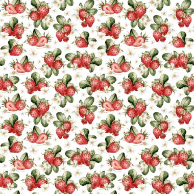 Çilek, çiçek ve yapraklı olgun böğürtlen. Suluboya çizimleri, beyaz arka planda çiçeksiz desenler masa tekstili için yaz meyveleri, yaz kumaşları, ambalajlar ve yiyecek paketleri.