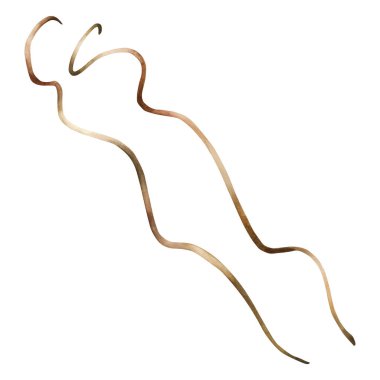 Kuru ahşap dallar. Suluboya el, Noel kışı veya sonbahar tasarımı için izole edilmiş çiçek resimleri, ev dekorasyonu, çiçek etiketleri, botanik posterleri, baskılar, düğün buketleri.