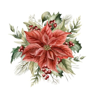 Holly Berries, Pine, Cedar ve Okaliptüs dallarıyla kırmızı çiçek. Suluboya el, Noel kış tasarımı, kartlar, tatil baskıları, ambalajlar için izole, klasik çiçek çizimi