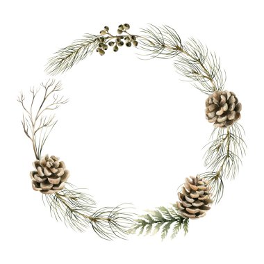 Kozalaklı dallar ve çam kozalakları. Ladin, çam, sedir, köknar dalları ve çam kozalakları. Noel kış tasarımı, tatil baskısı, ev dekorasyonu, kartlar için suluboya izole edilmiş resimleme