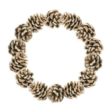 Çam kozalağı çelengi. Suluboya el, Noel tasarımı, kış ya da sonbahar dekoru, botanik posterleri, tatil baskıları, çiçek etiketleri, tebrik kartları, ambalaj kartları için izole edilmiş çiçek çizimleri yaptı.