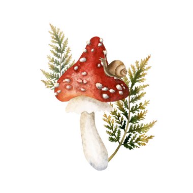 Salyangoz ve eğreltiotu dallarıyla agarik uç. Sonbahar ormanı, zehirli amanita mantarı. Suluboya el sonbahar tasarımı için izole edilmiş çiçek çizimi, rahat izler, çiçek etiketleri