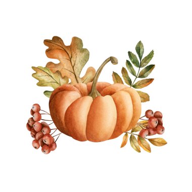 Kırmızı böğürtlenli turuncu balkabağı ve sonbahar yaprakları. Kabak, rowanberry, meşe ve rowan yapraklı. Suluboya el çiçekli yiyecekler çizdi sonbahar tasarımı için izole edilmiş resimler, mutfak tekstili.