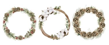 Çam kozalaklı ve dallı Noel çelenkleri, kutsal çilek, pamuk ve okaliptüs. Bir dizi suluboya el, Noel için izole edilmiş kır çiçekleri çizimleri, tatil baskıları.