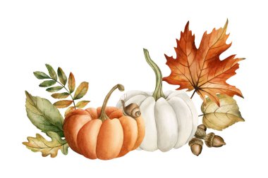 Turuncu ve beyaz balkabakları, salyangoz, meşe palamudu ve sonbahar yaprakları. Kabak, akçaağaç, meşe, rowan, huş yaprağı. Sonbahar tasarımı ve parmak izleri için suluboya el resmi.