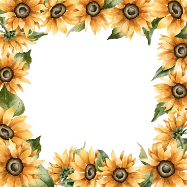 Ayçiçeği çerçevesi. Sonbahar sarı bahçe çiçekleri. Suluboya el çizimi çiçek çizimi, sonbahar tasarımı, botanik kartları, hoş baskılar, çiçek etiketleri, mutfak tekstili için beyaz arka planda izole edilmiş.