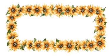 Ayçiçeği çerçevesi. Sonbahar sarı bahçe çiçekleri. Suluboya el çizimi çiçek çizimi, sonbahar tasarımı, botanik kartları, hoş baskılar, çiçek etiketleri, mutfak tekstili için beyaz arka planda izole edilmiş.