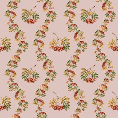 Yapraklı Rowanberry şubesi. Soluk pembe arka planda sonbahar çiçeksiz desen. Sonbahar tasarımı için suluboya el çizimi, ev tekstili, ambalaj kağıdı, duvar kağıdı, kumaş