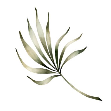 Palmiye yaprakları. Tropik egzotik bitki dalı. Ramazan Kareem tasarımı, Kurban Bayramı, Kurban Bayramı, Kurban Bayramı, Kumaşı, Tekstil, Kart, Davetiye