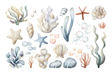 Su altı bitkileri ve hayvanlar toplanıyor. Şirin deniz yosunları, deniz mercanı süngeri deniz yıldızı deniz yıldızı çakıl taşı su baloncuğu inci sulu boya çocuk yuvası bebek partisi için deniz altı tasarımı.