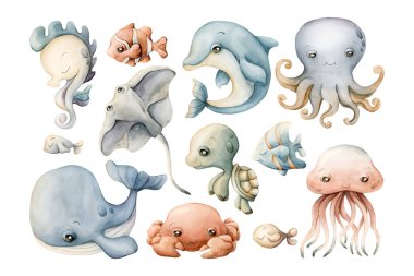 Deniz Hayvanı Yunus Kaplumbağa Suluboya Clipart beyazda izole edildi. Şirin deniz canlıları denizanası, denizatı, ahtapot, yengeç eli çizilmiş. Çocuk odası dekorasyonu için resimli balık seti