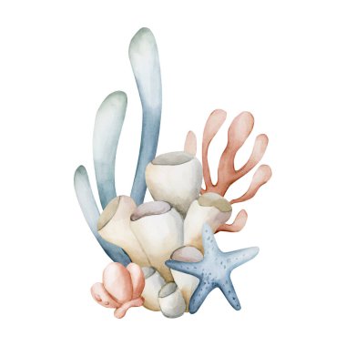 Deniz yosunu, mercan süngeri, deniz yıldızı kabuğu. Şirin okyanus sualtı bitkileri ve hayvanları. Suluboya el boyası, beyaz arka planda izole edilmiş, çocuk odası dekorasyonu, deniz altı bebek duşu.