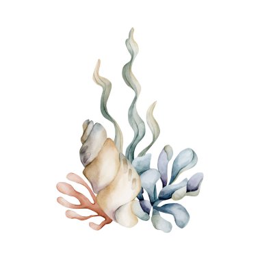 Deniz yosunu deniz kabuğu mercan süngeri. Şirin, yumuşak deniz sualtı okyanus bitkileri ve hayvanları. Suluboya el boyası, çocuk odası duvarları için izole edilmiş bir illüstrasyon çıkartması bebek partisi deniz altı tasarımı.