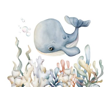 Şirin Balina Yosun Mercan Deniz Süngeri. Deniz hayvanı ve bitkiler. Tatlı, yumuşak su altı dünyası. Çocuk odası dekorasyonu için suluboya el resmi bebek partisi etiketi.