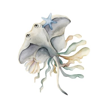 Şirin Stingray Deniz Kabuğu Deniz Yosunu. Okyanus hayvanı ve bitkiler. Su altı dünyası çok güzel. Suluboya el boyası, yaz aylarında çocukların çocuk odası duvarına yapıştırılan bebek partisi için izole edilmiş bir resim.