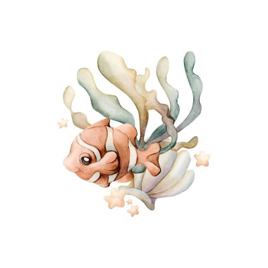 Şirin Palyaço Balık Deniz Kabuğu Deniz Yosunu Yıldızları. Okyanus hayvanı ve bitkiler. Çocuk odası dekorasyonu için beyaz arka planda izole edilmiş suluboya el resmi bebek hediye kartı.