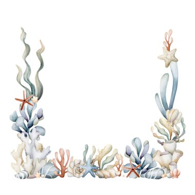 Deniz Okyanusu Deniz Bitkileri Çerçevesi. Şirin yosunlar, mercanlar, denizyıldızı, kabuk, sünger, çakıl taşları, su kabarcıkları. Suluboya el resmi, yaz aylarında çocukların bebek partileri için deniz altı tasarımı için izole edilmiş.