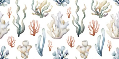 Deniz bitkileri. Deniz yosunu mercan süngeri. Suluboya el yazısı beyaz arka planda kusursuz desen çizmiş. Çocuklar için şirin pastel nötr sualtı deniz hayatı bebek bakımı tekstil kumaşı, ambalaj.