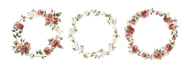 Gül çiçeği çelengi. Düzenlemelerin etrafındaki tozlu pembe bahçe çiçekleri. Suluboya el resmi düğün tasarımı, tekstil, porselen çanak, kozmetik paket, etiketler için izole edilmiş çiçek çizimi.