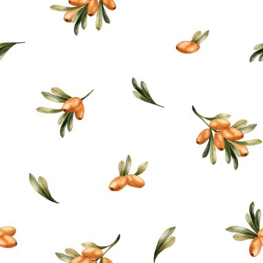 Turuncu böğürtlen ve yeşil yapraklı deniz dikenli dallar. Suluboya el, sonbahar çiçekli deseni sonbahar tasarımı için beyaz zemin üzerine boyamış, ev yapımı, ambalaj kağıdı, duvar kağıdı, kumaş.