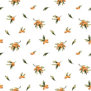 Turuncu böğürtlen ve yeşil yapraklı deniz dikenli dallar. Suluboya el, sonbahar çiçekli deseni sonbahar tasarımı için beyaz zemin üzerine boyamış, ev yapımı, ambalaj kağıdı, duvar kağıdı, kumaş.