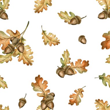 Meşe palamudu ve sonbahar yapraklı meşe dalı. Suluboya el, güz ormanı tasarımı için beyaz arka planda çiçeksiz desenler çizmiş, rahat izler, sevimli ev yapımı, ambalaj kağıdı, duvar kağıdı, kumaş.