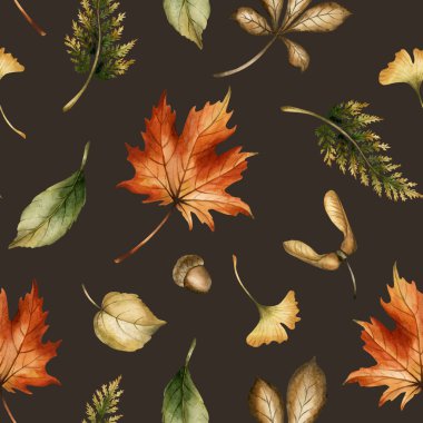Sonbahar orman yaprakları, tohumlar ve meşe palamudu. Sonbahar orman tasarımı için koyu arka planda suluboya el boyası, hoş ev yapımı, ambalaj kağıdı, duvar kağıdı, kumaş.