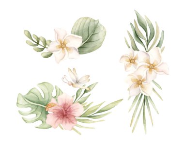 Tropik Hibiscus Plumeria Canavarı Palmiye yaprakları ayarlandı. Egzotik Afrika orman çiçekleri suluboya elle boyanmış yaz çiçekleri beyaz arka planda izole edilmiş şirin bebek yuvası