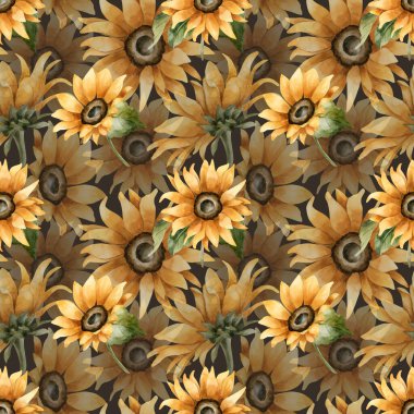 Ayçiçeği, sonbahar bahçesi, sarı çiçekler. Sonbahar tasarımı için koyu arkaplanda suluboya el boyası desenli çiçek deseni hoş ev yapımı mutfak masası kumaş ambalajlı kağıt.