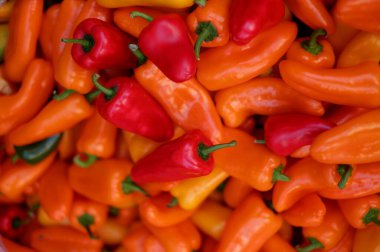 Taze ve lezzetli kırmızı dolma biberler.