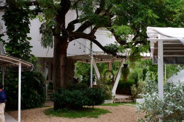 Beyaz ve yeşil yapraklı güzel bir bahçe.