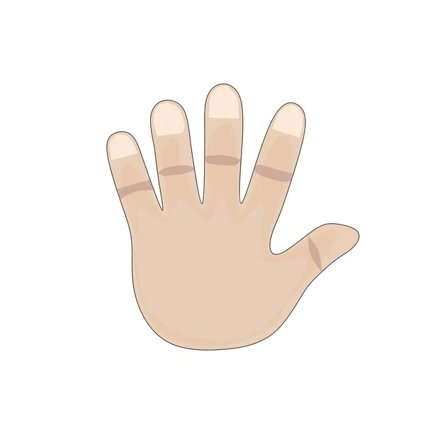 illustration vector graphic of 5 finger hand, perfect for The main function of this type of palm bone is as a bridge between the wrist and fingers, thus forming the skeleton of the hand.