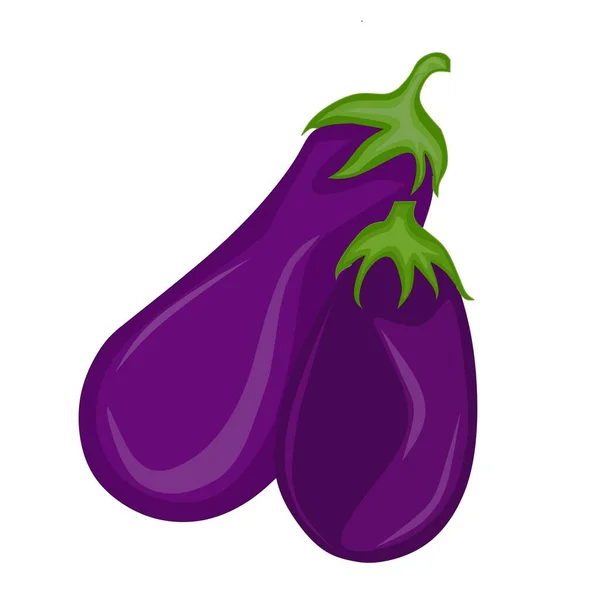 illustration vector graphic of eggplant.good for Eating purple eggplant can help the body overcome digestive disorders, such as constipation and flatulence. Apart from that, this vegetable can also keep digestion healthy