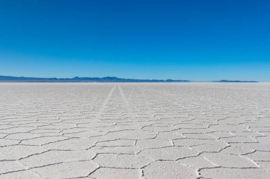 Bolvia 'daki Uyuni Tuz Düzlüğü' nün manzarası.