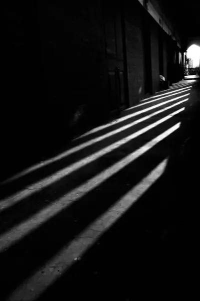 A minimalist black and white photo that captures the essence of an urban scene through the simple form of a shadow on a sidewalk.