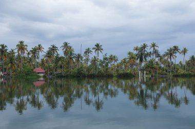 Bereketli palmiye ağaçlarıyla çevrili sakin bir tropikal göl. Rahatlamayı ve kaçmayı davet ediyor..
