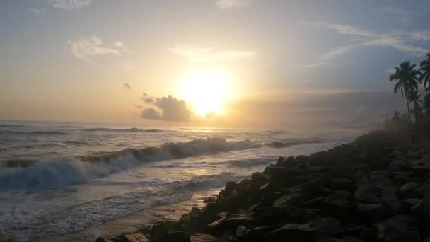 Serene Image Captures Beauty Sunset Kappil Beach Kerala India Palm — Stockvideo