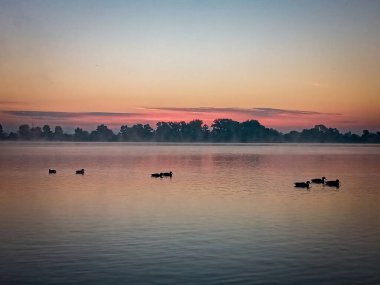 Ukrayna 'nın çeşitli etkileyici manzaraları. Gündoğumları, günbatımları. Sis ve kar. Yaz ve aydınlık sonbahar. Dokular ve bulutlar.