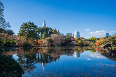 Shinjuku 'daki binalar Shinjuku Parkı' ndaki Nakanoike 'ye yansıdı.