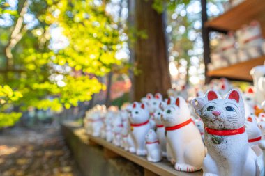 Setagaya-ku, Tokyo 'da bulunan Gotokuji adında bir tapınak. Geleneksel Japon bebeğinin 