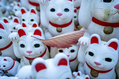 Setagaya-ku, Tokyo 'da bulunan Gotokuji adında bir tapınak. Geleneksel Japon bebeğinin 