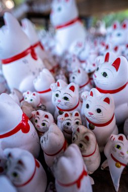 Setagaya-ku, Tokyo 'da bulunan Gotokuji adında bir tapınak. Geleneksel Japon bebeğinin 