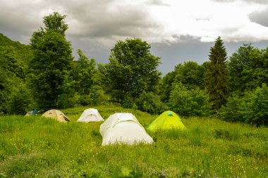 Birkaç turist çadırı. Kamp kampı. Kamp kampı doğanın arka planına karşı. Orman ve bulutlar.