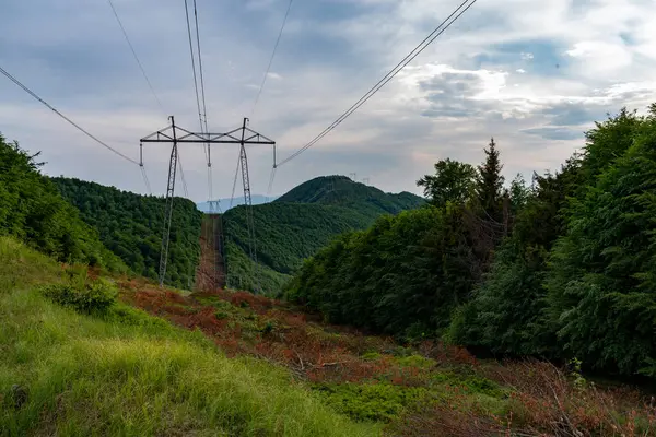 Electric transmission line. Electric station in the forest. Electric highway in the mountains. Summer.