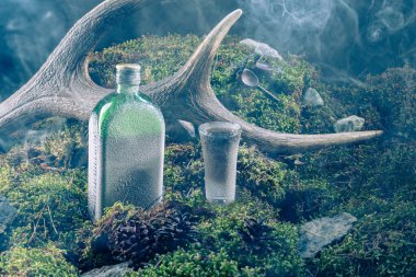 Bir şişe likör ve yosun. Bir şişe likör. Şişe don ve sis ile kaplı. Ön görünüm.