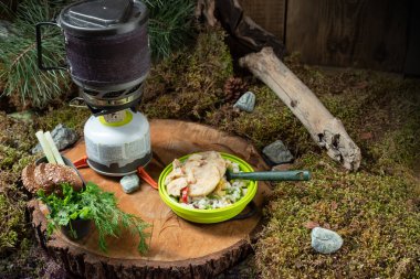 Turist mutfağı. Dışarıda yemek yiyorum. Turistlerin dondurulmuş yiyeceklerinin hazırlanması. Kompozisyon. Ön görünüm.