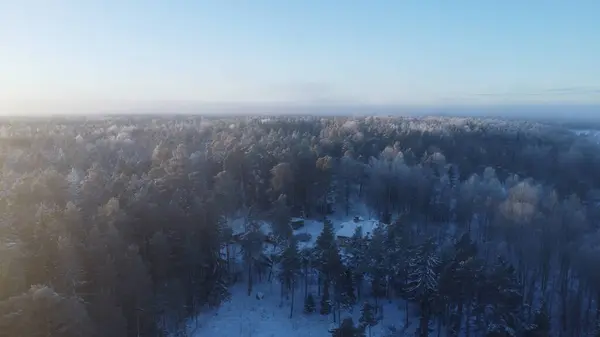 stock image Secluded Snowed on House in the Middle of a Snowy Forest